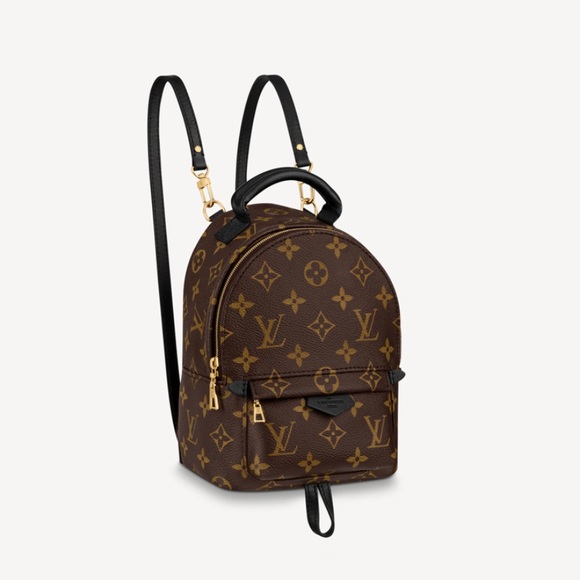 LV Palm Spring Mini - Picture 15 of 15